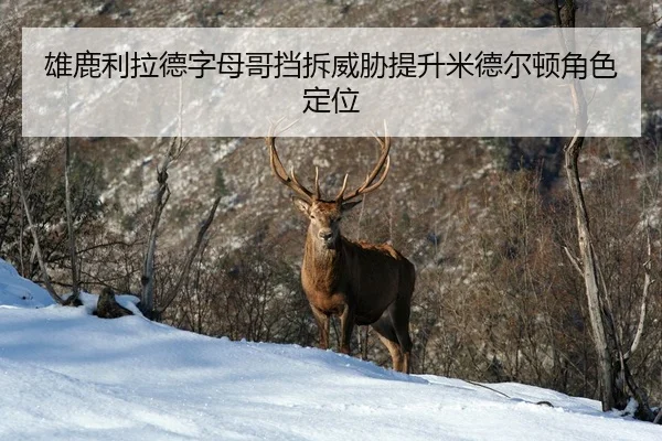 xiong-lu-li-la-de-zi-mu-ge-dang-chai-wei-xie-ti-sheng-mi-de-er-dun-jue-se-ding-wei-3-603.jpg