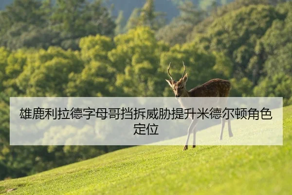 雄鹿利拉德字母哥挡拆威胁提升米德尔顿角色定位